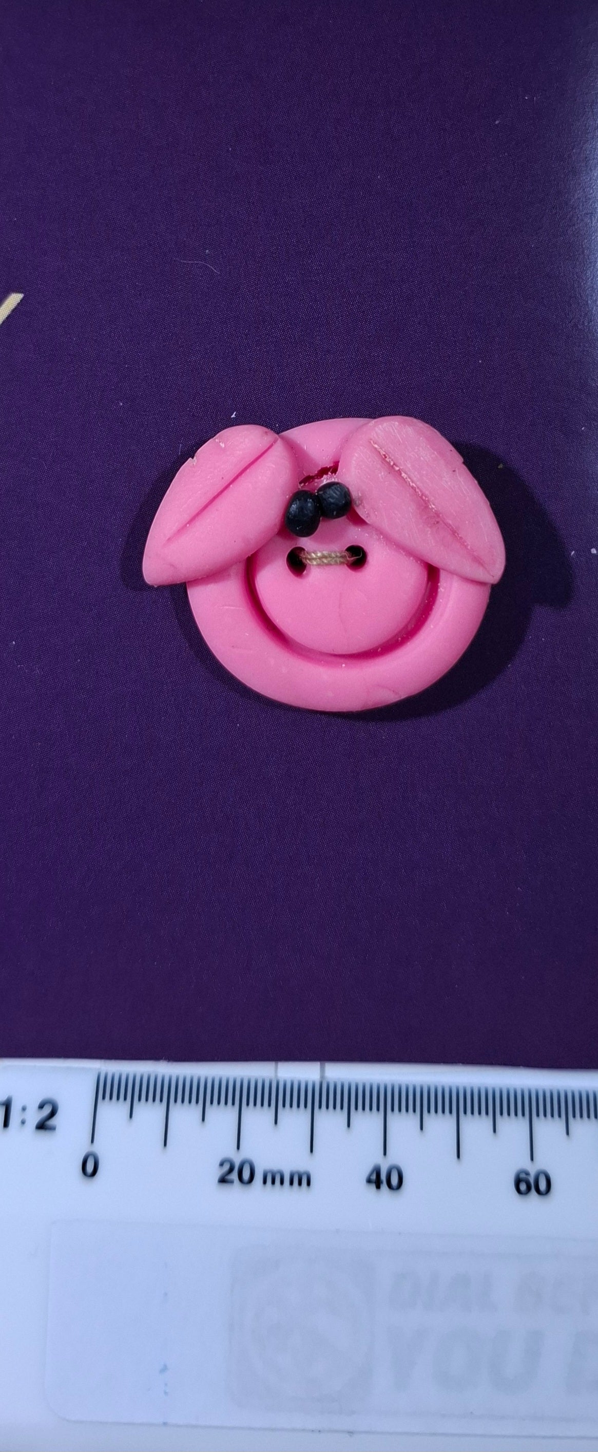 Piggy Button