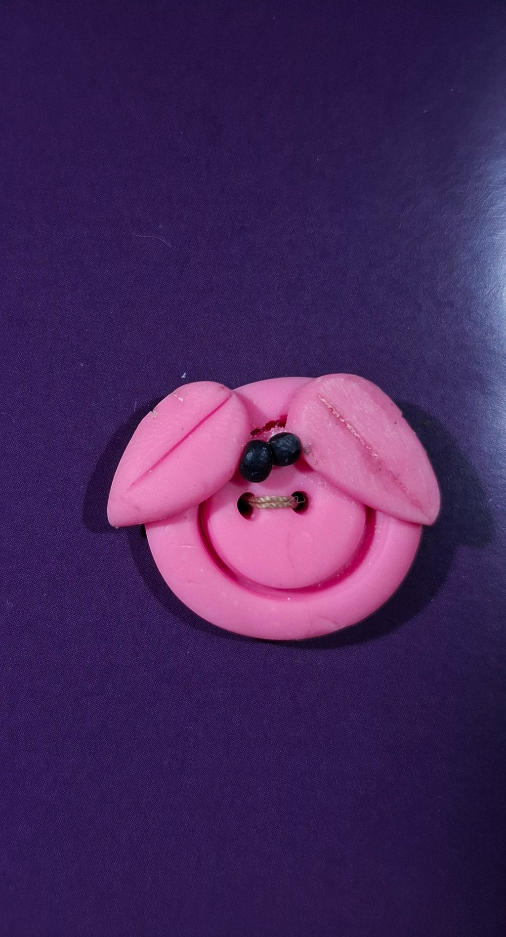 Piggy Button